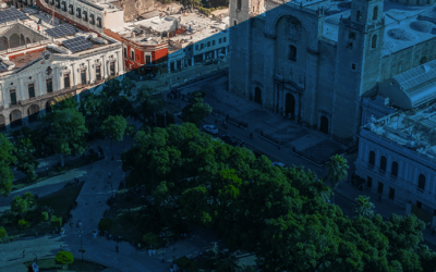 Boletín de Agosto 2025