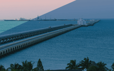 Boletín Diciembre 2025